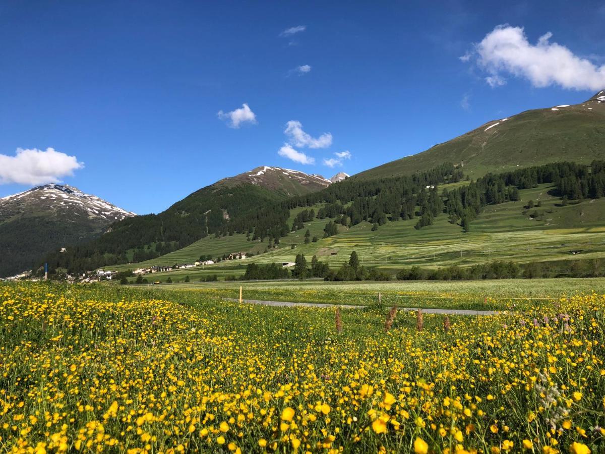 Chalet Breithorn- Perfect For Holiday With Amazing View! Obergesteln Kültér fotó