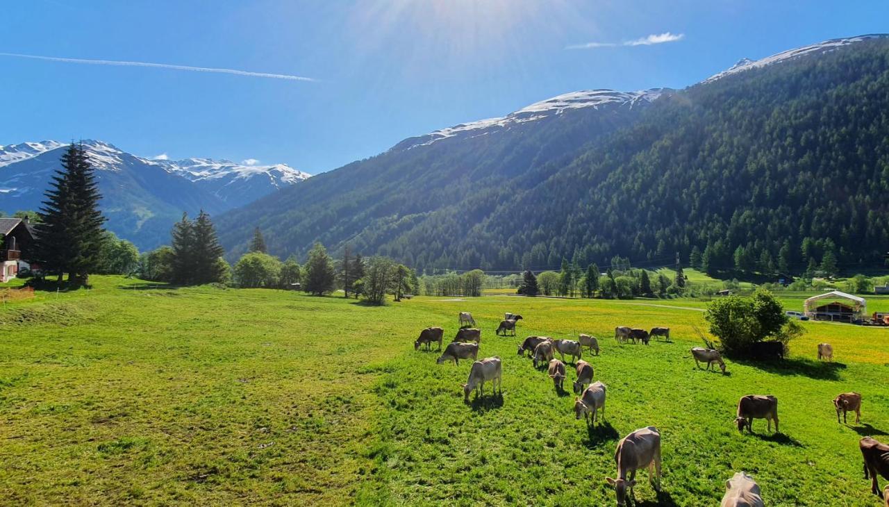Chalet Breithorn- Perfect For Holiday With Amazing View! Obergesteln Kültér fotó