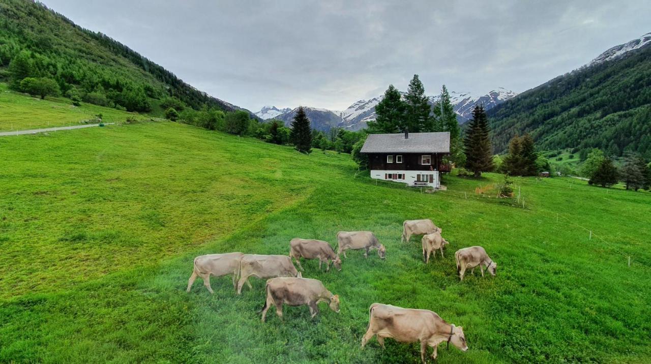 Chalet Breithorn- Perfect For Holiday With Amazing View! Obergesteln Kültér fotó